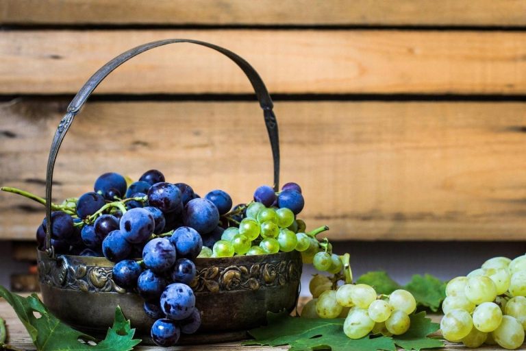 Autunno in Cantina: riparte la nuova stagione del vino siciliano Cesto uva autunno